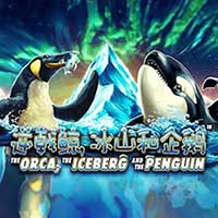 The Orca, the Iceberg and the Penguin